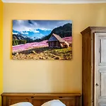 Guest house Paula 3*