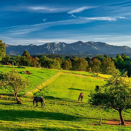 Paula בית הארחה 3*