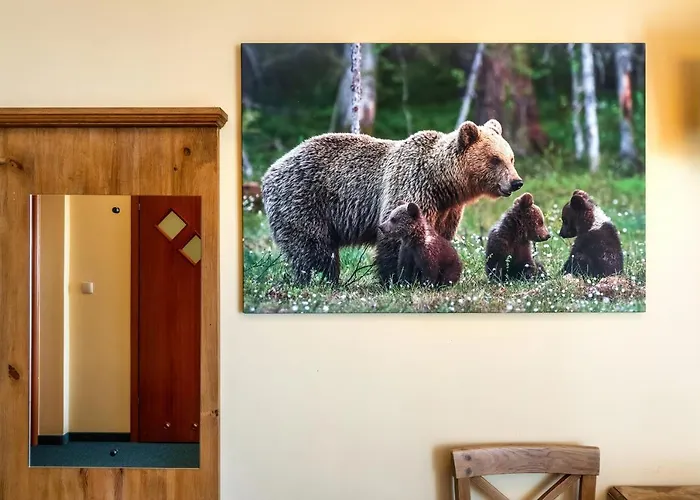 בית הארחה Paula זאוב