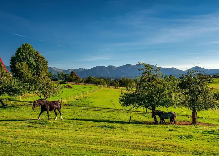 Paula בית הארחה זאוב