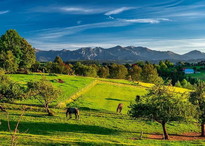 Paula Guest house 3*