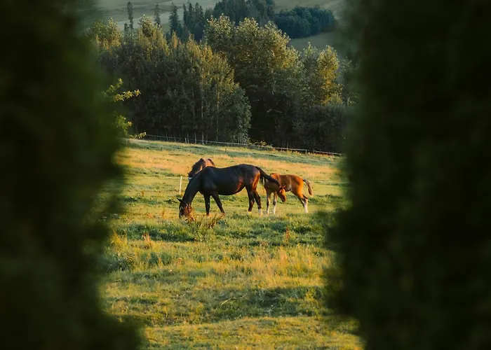 Paula בית הארחה 3*